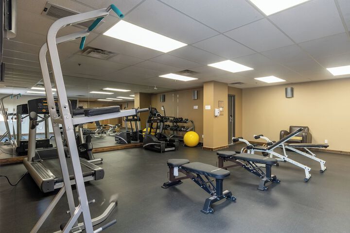 Gym & Fitness