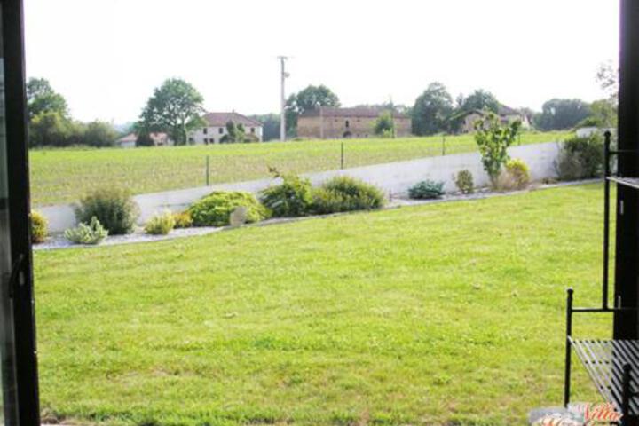 Photo 24