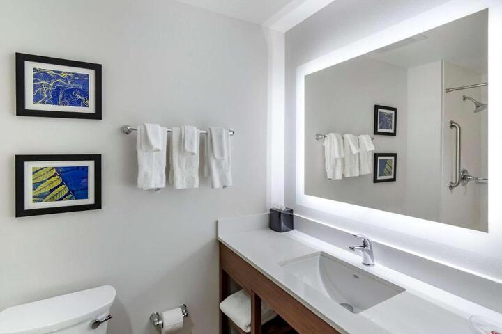 1 King Bed Suite (18 of 23)