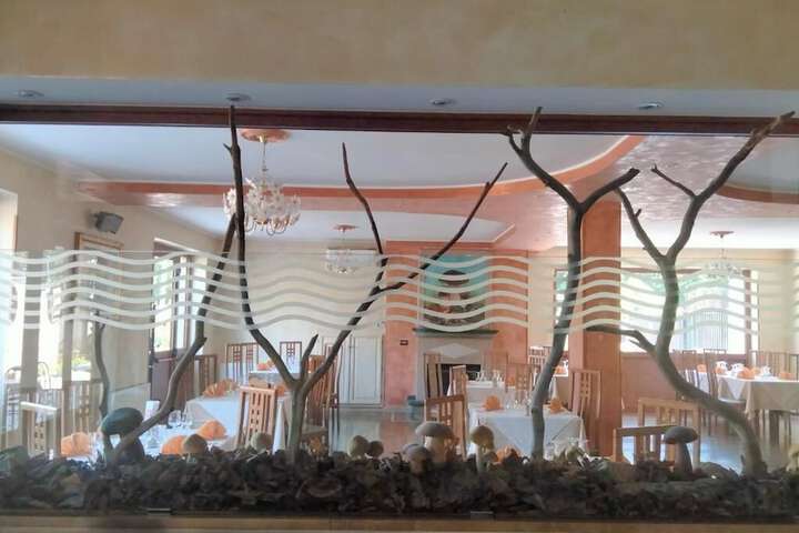 Dining 10 of 14