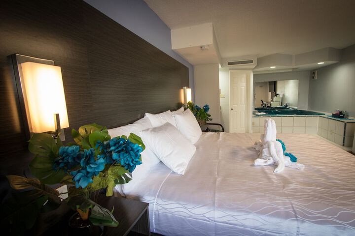 1 King Bed Pet Friendly Accessible (82 of 90)