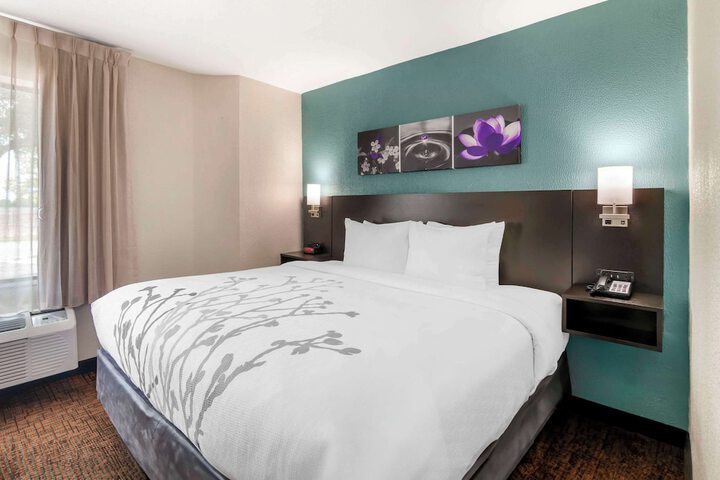 1 King Bed (3 of 12)