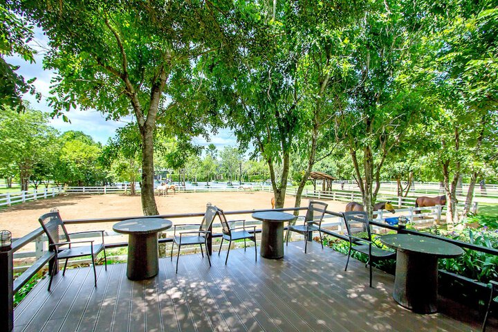Terrace/Patio 220 of 228