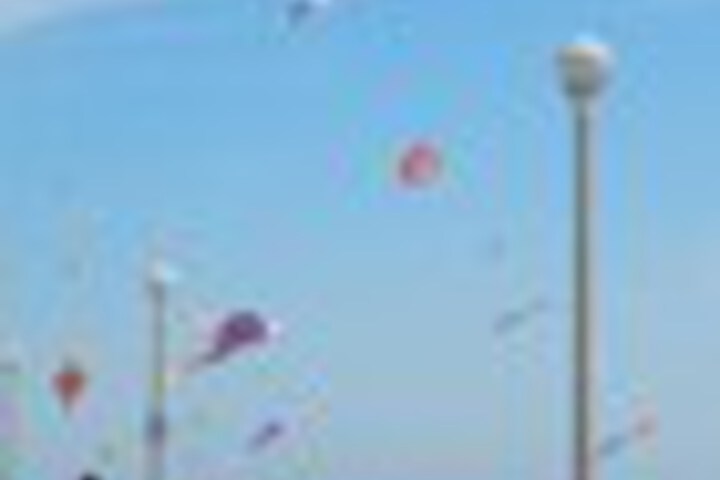 Beach 80 of 102