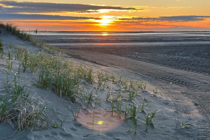 Beach 42 of 57