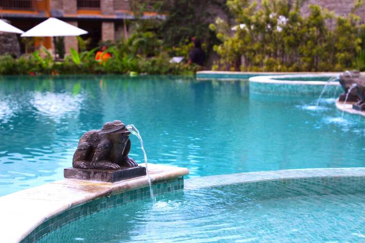 Pool to Cool