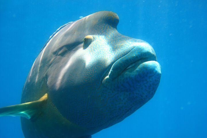 Outdoor Activities 24 of 41