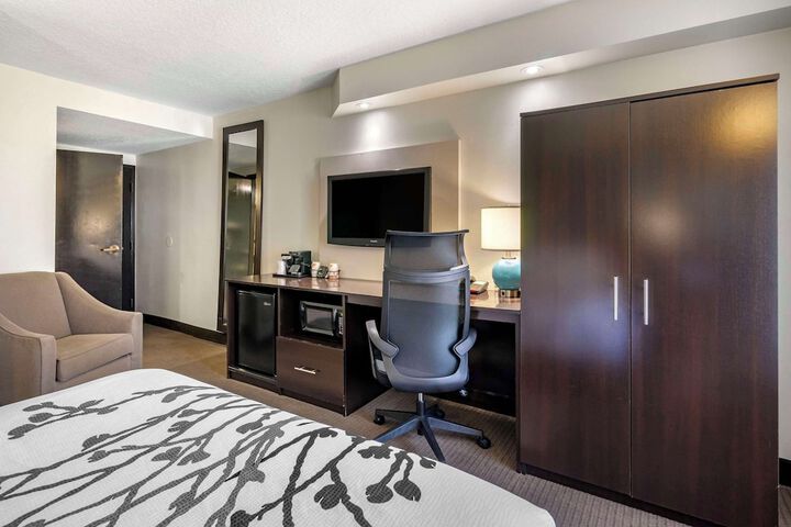 1 Queen Bed Accessible (2 of 6)