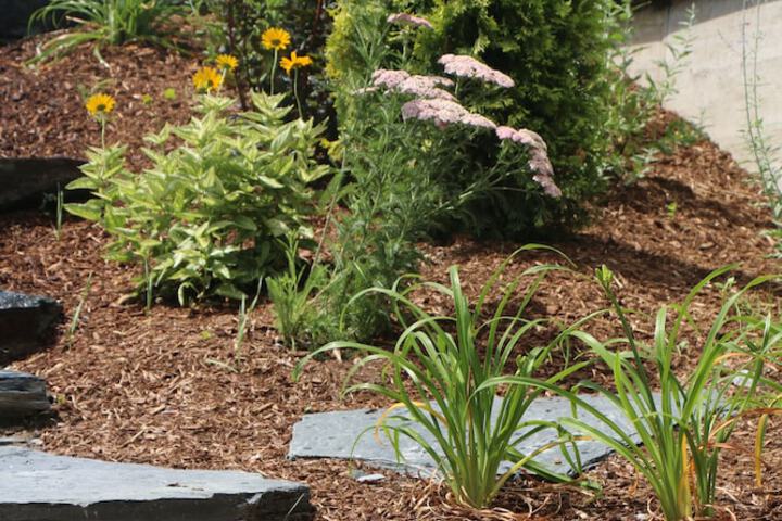 Property Grounds 70 of 101