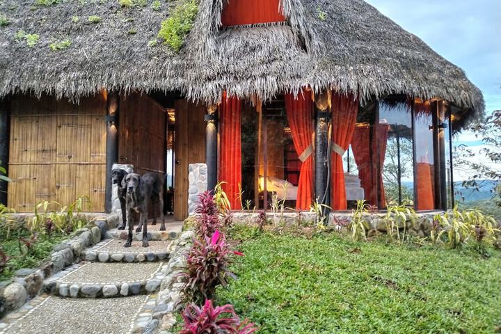 General 25 of 42