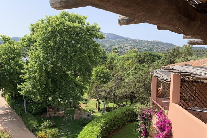 Garden view
