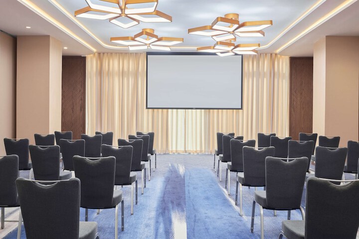 Meeting 217 of 260
