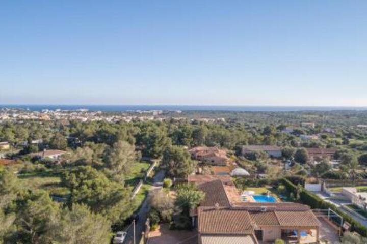 Portocolom 269438