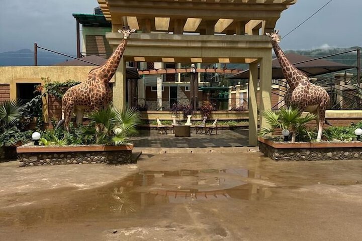 Hotel 4 of 11