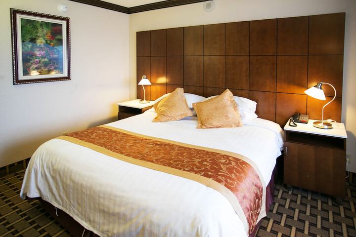 Luxury King Bed (7 of 8)