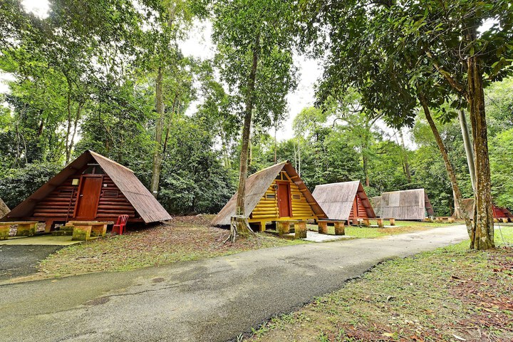Spot ON 90536 Bens Maju Foreststay