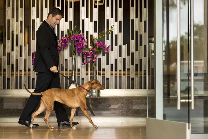 Pet-friendly
