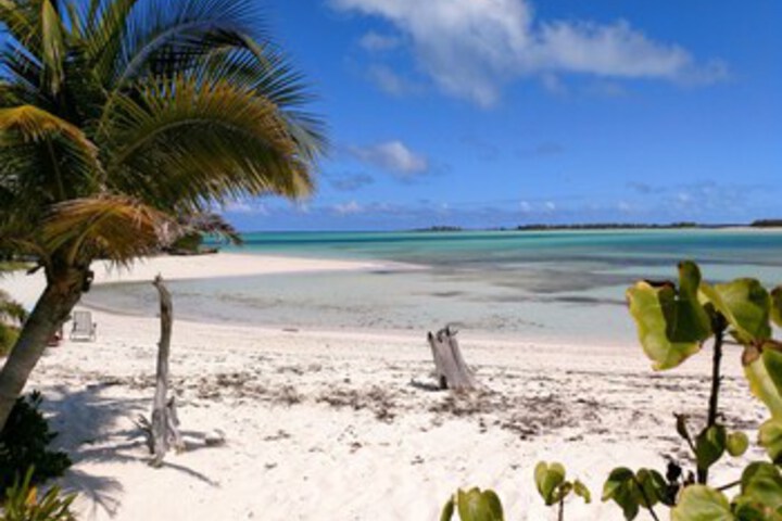 Beach 16 of 71