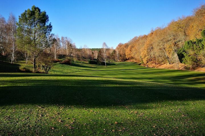 Golf 93 of 115
