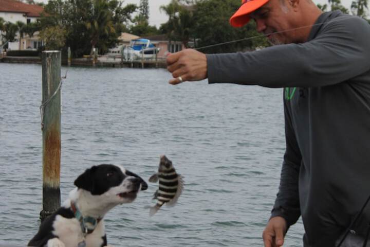 Outdoor Activities 28 of 80