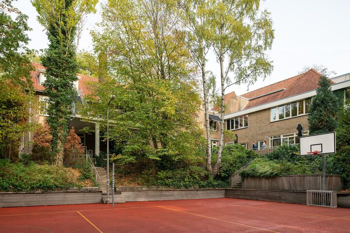 Basketball court