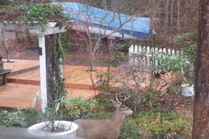 Hotel View 117 of 126