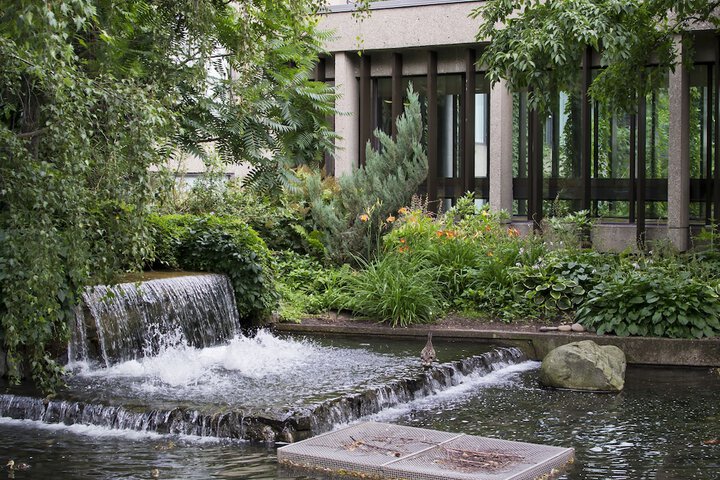Garden view