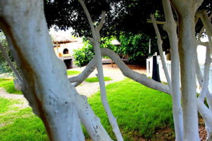 Property Grounds 183 of 191