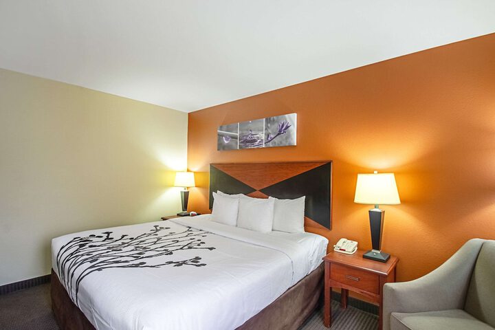 1 King Bed (11 of 15)
