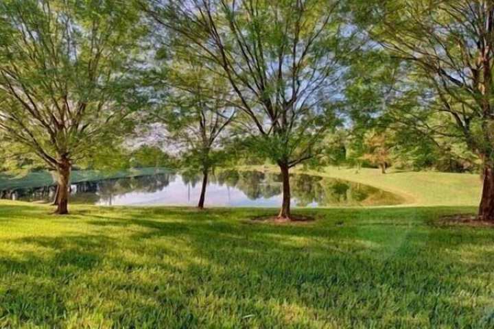 Property Grounds 16 of 18