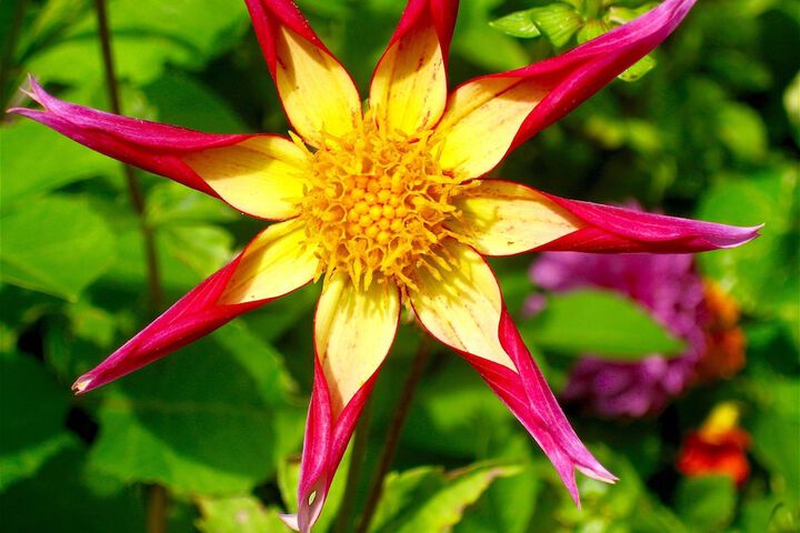 Hotel Exterior 30 of 37