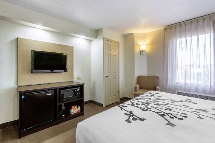 Standard | King Bed (9 of 16)