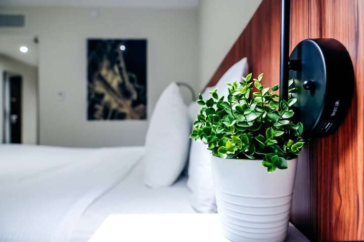 Room 15 of 38