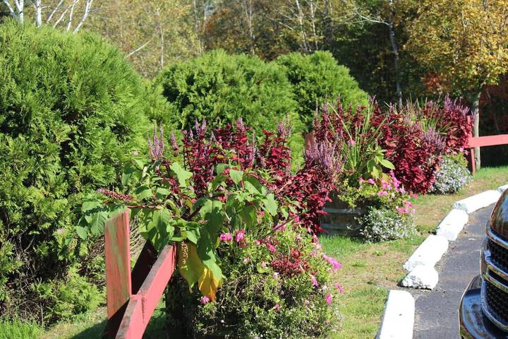 Property Grounds 9 of 16