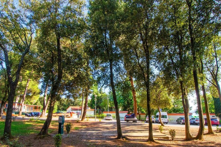 Property Grounds 23 of 36