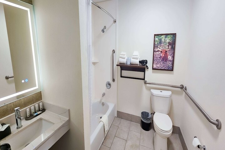 2 Queen Beds Accessible (9 of 17)
