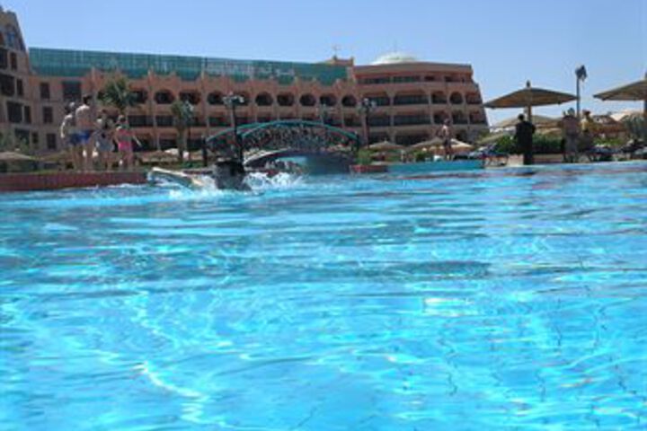 Pool 46 of 49