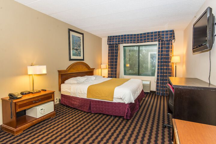 Standard | King Bed (3 of 9)