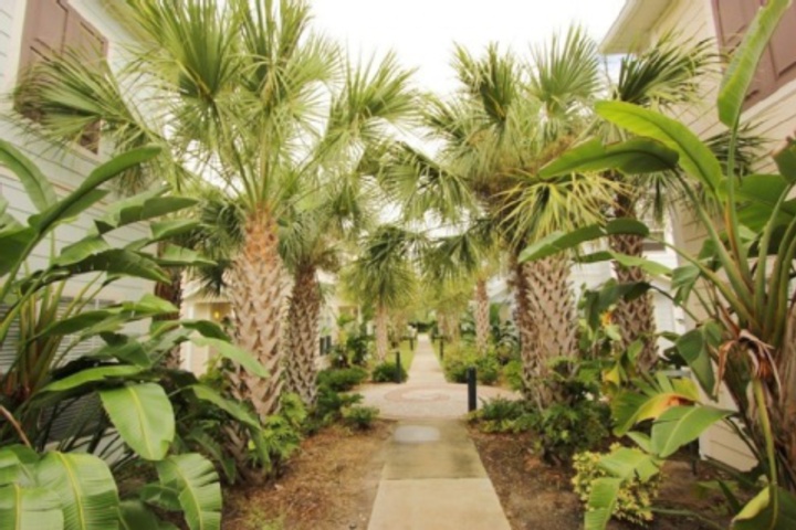 Hotel Exterior 12 of 323