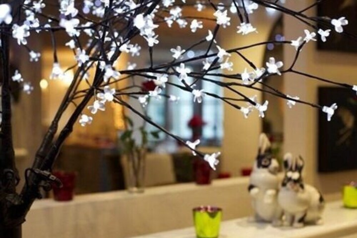 Photo 8
