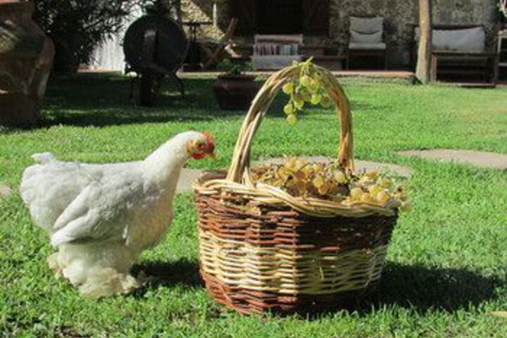 La Mi Nonna