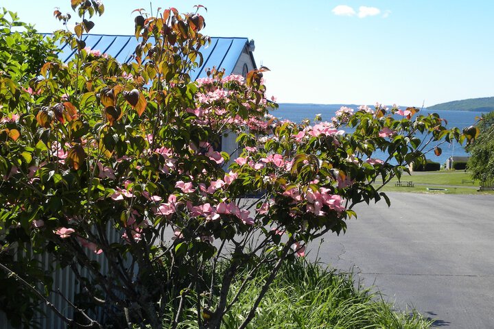 Property Grounds 62 of 88