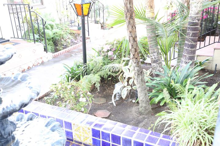 Courtyard view