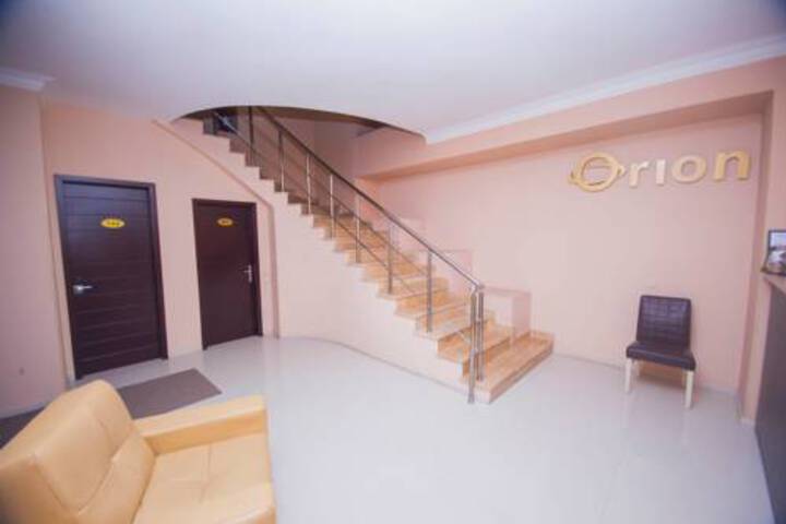 ORION ECONOM