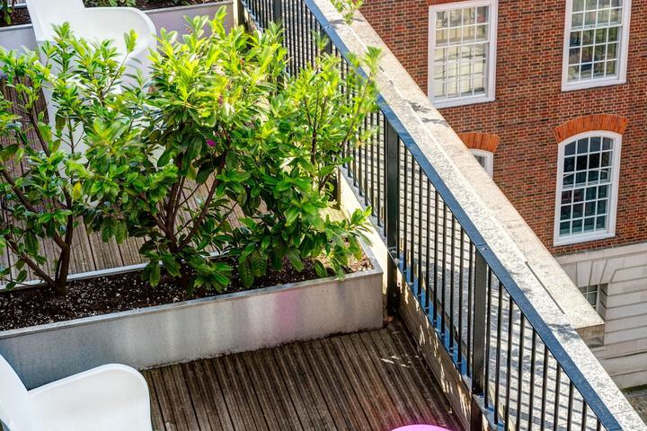 Terrace/Patio 92 of 93