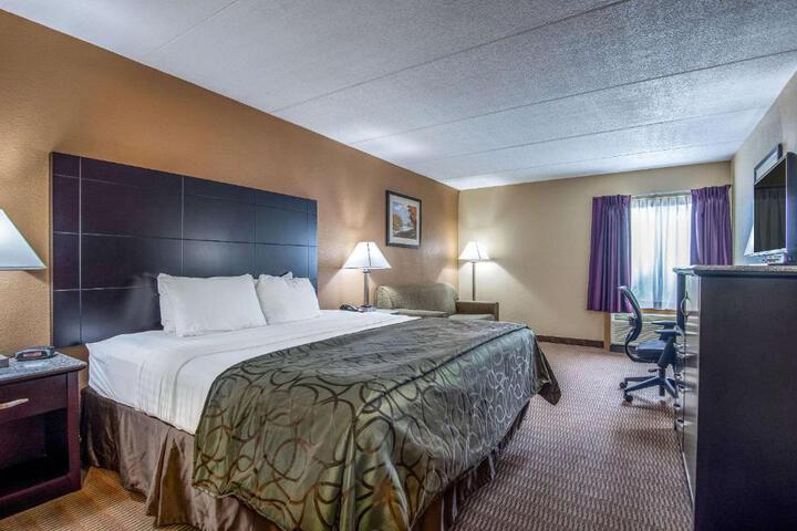 1 King Bed (3 of 11)