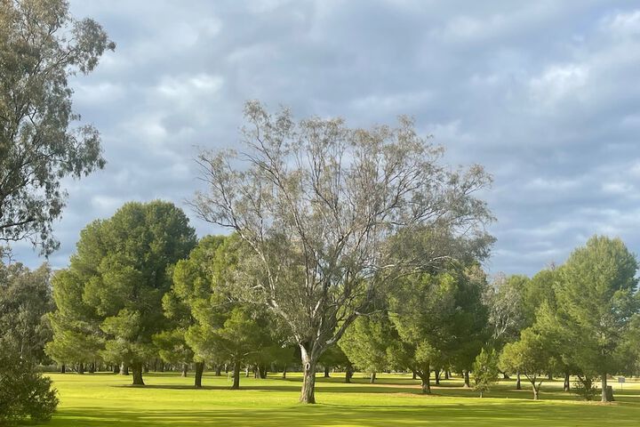 Golf 59 of 59