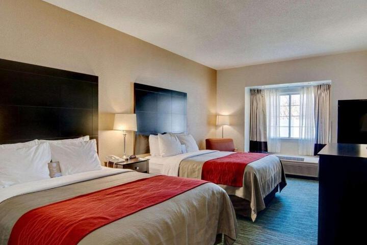 2 Queen Beds (9 of 12)