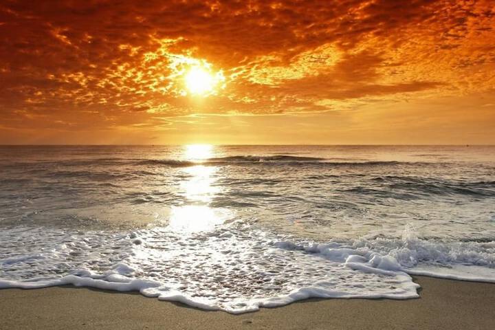 Beach 54 of 59