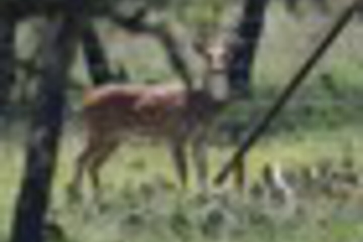 Hotel View 437 of 459